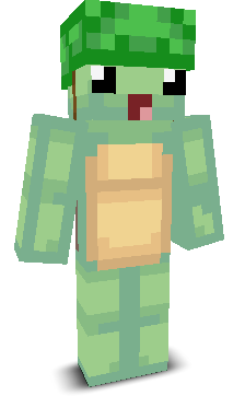 seaturtle904's skin