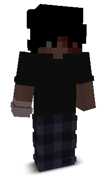 FL0TIZ1N's skin