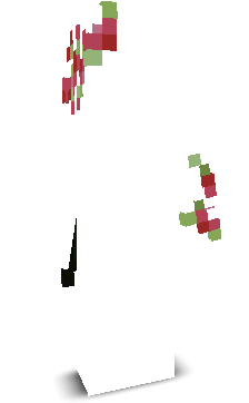 k1r4z's skin