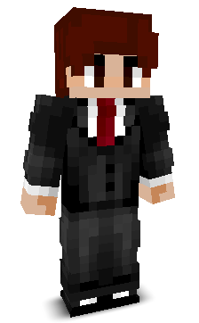 constanFN's skin