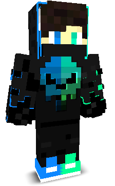 NinjaKrijger's skin