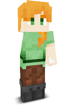 Skicrash's skin