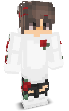Adasprogamer's skin