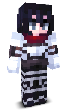 ISSNARO's skin