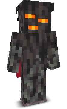 DJturtlemaster's skin