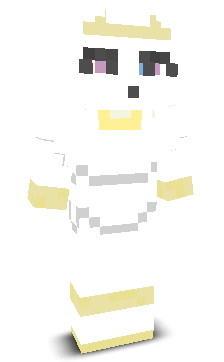 ddokddok23's skin