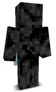 Techn1cality's skin