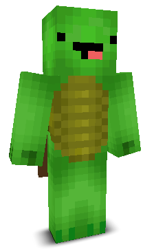 Mr_Turtle111's skin