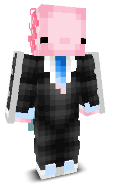 PlateMan_12's skin