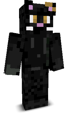 Vincent_5k's skin