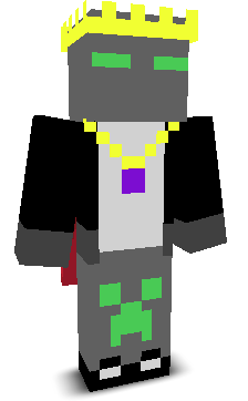 FIGHTER100's skin