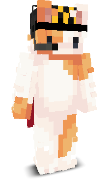 Dawid_707's skin