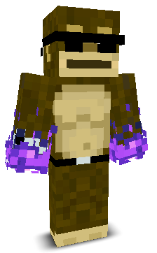 XwolxyX's skin