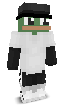Pixelmon343's skin