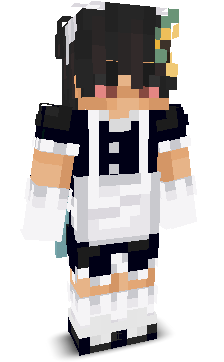 CoinYapper's skin