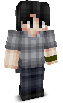 PixelLore's skin