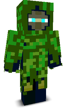HZR2010's skin
