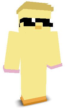 chlqken's skin