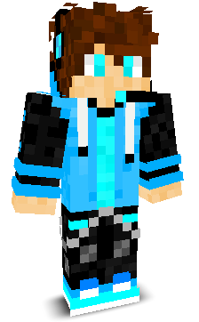Fl1psensei1's skin