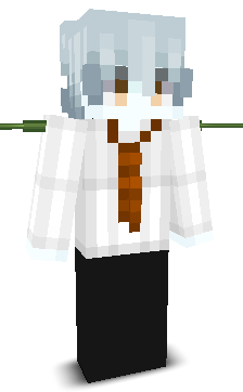 zvl1r's skin