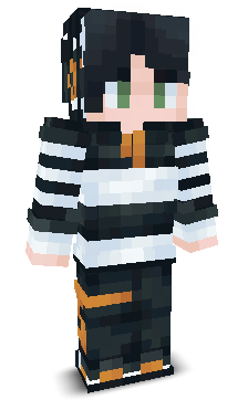 supermisterrsk's skin