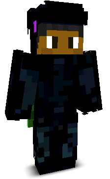 __SilentReg__'s skin