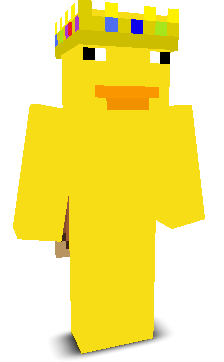 RadinsMC_YT's skin