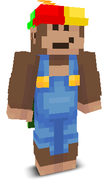 Onbegrip's skin