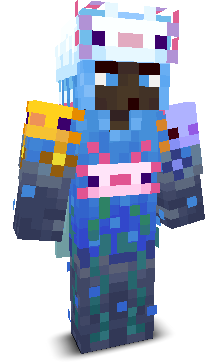 Obser22's skin