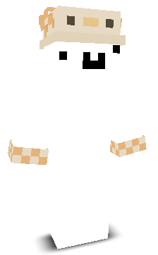 PlonkoMC's skin