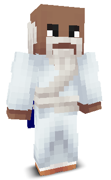 solgamerpropvp23's skin