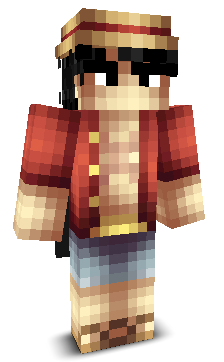 cibr1's skin