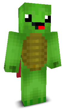 Vikiskilpadde's skin