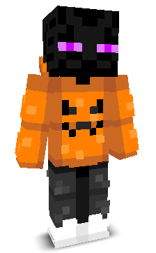 TheEnterNameHere's skin