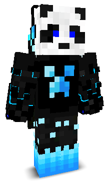Proplayer0070's skin
