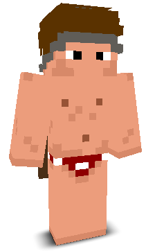minedupros's skin