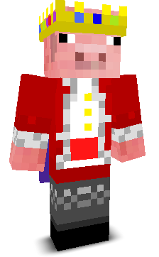 Tycjan14's skin