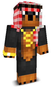 Wonzeldebonk20's skin