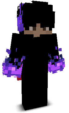 BIRKINNN's skin