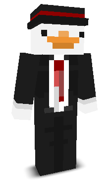 Solidare's skin