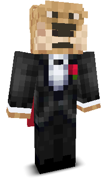 Artsei's skin