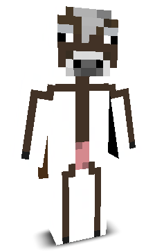 J0jo_Gamer's skin