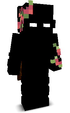 zaxcs_'s skin