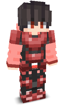 Ninjakid22's skin