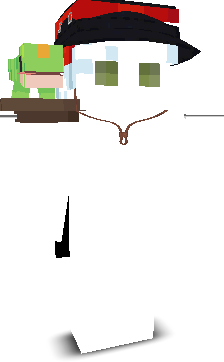 PikaPxcks's skin