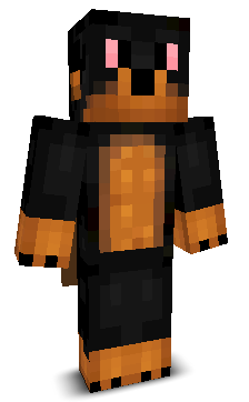 Shaundonwon's skin