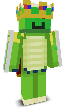 TurtleHere1's skin