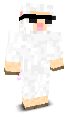 DomixGaming000's skin