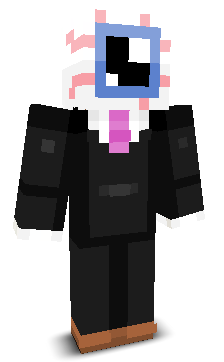 Apexwizer's skin