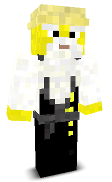poesgamer's skin